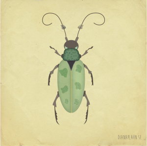 beetle_4